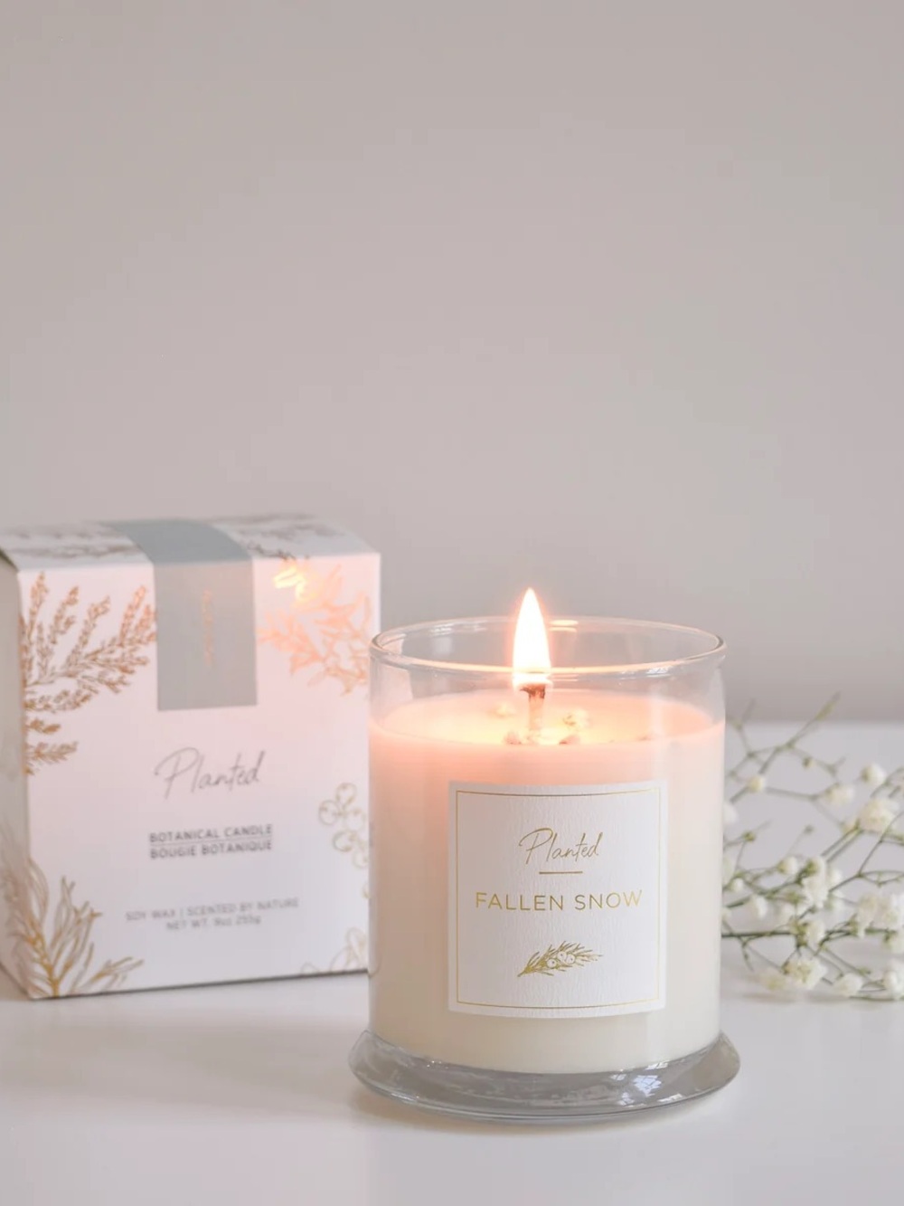 Jilly Box Winter 2025 Fallen Snow Soy Candle by Planted